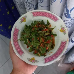 Pencok Kacang Panjang