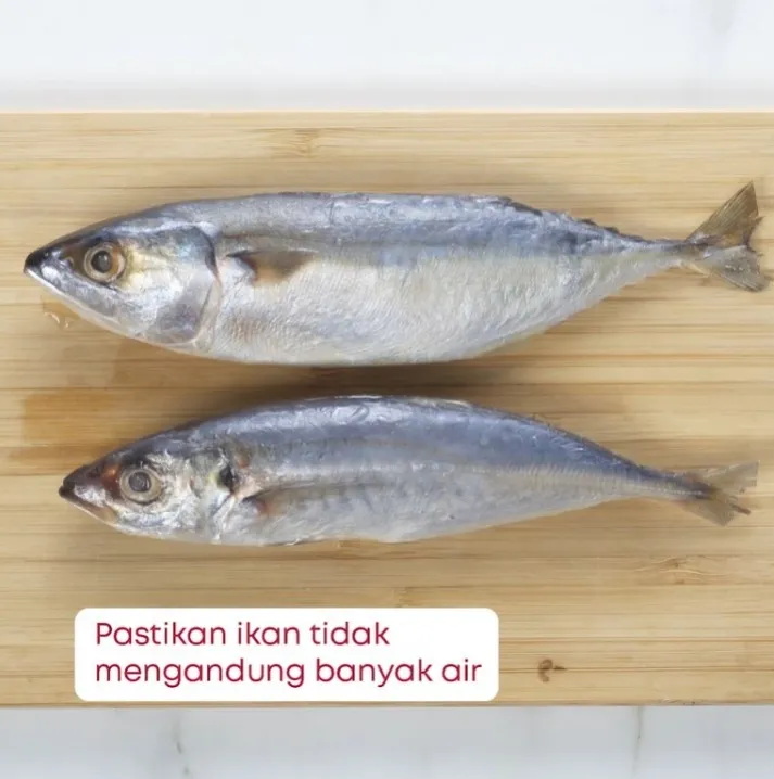 Step 4 Tips Dalam Memilih, Memproses, dan Mengolah Ikan ala Filma