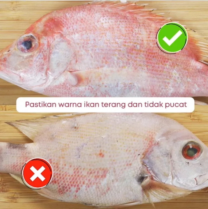 Step 1 Tips Dalam Memilih, Memproses, dan Mengolah Ikan ala Filma