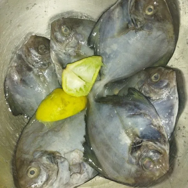 Siapkan ikan bawal yang sudah dibuang bagian perutnya, lalu beri air perasan jeruk nipis dan aduk rata.