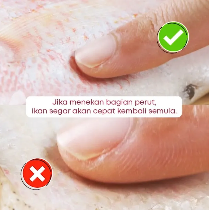 Step 2 Tips Dalam Memilih, Memproses, dan Mengolah Ikan ala Filma