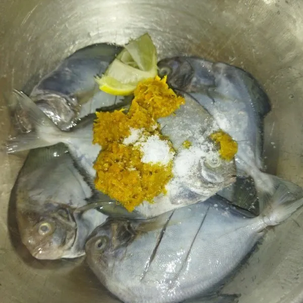 Lalu tambahkan bumbu halus ke dalam wadah yang berisi ikan bawal dan tambahkan garam.