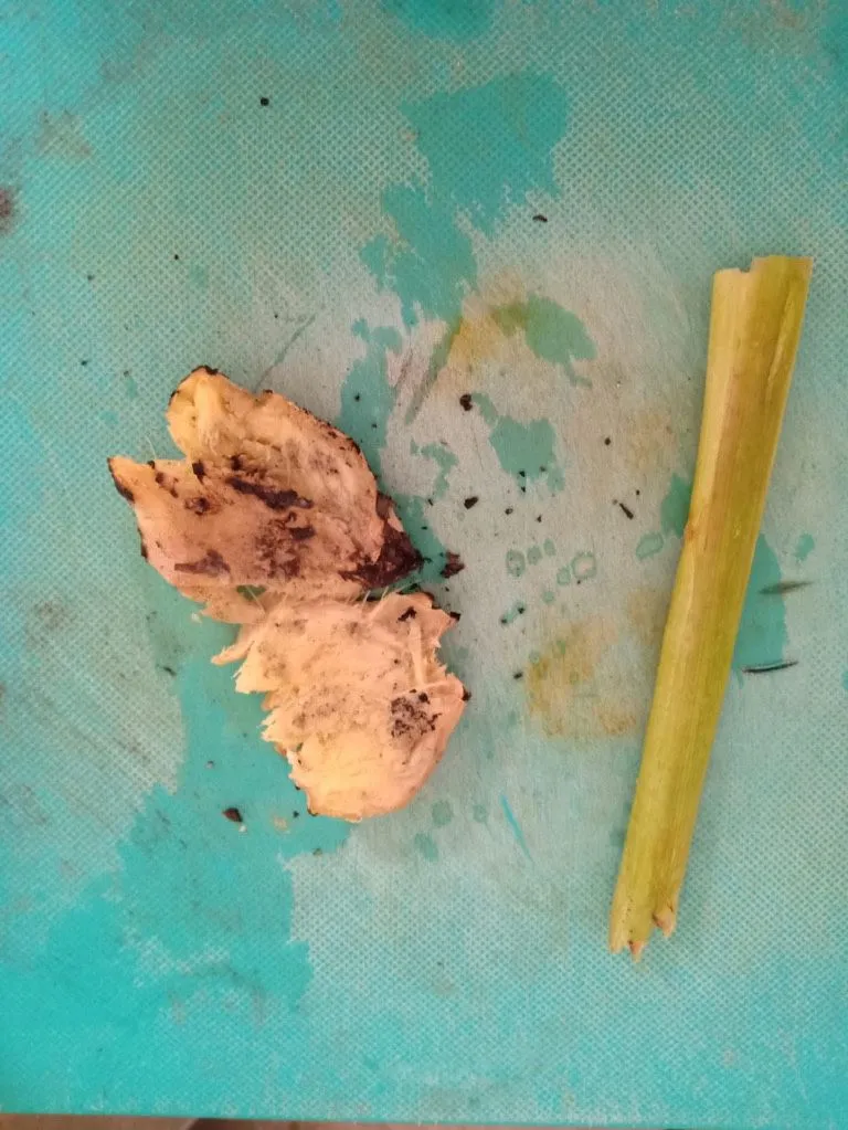 Step 3 Bir Pletok Khas Betawi