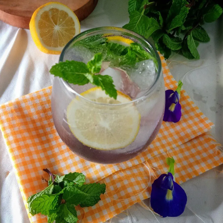 Step 5 Lemon Mojito