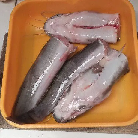 Step 1 Lele Pepes