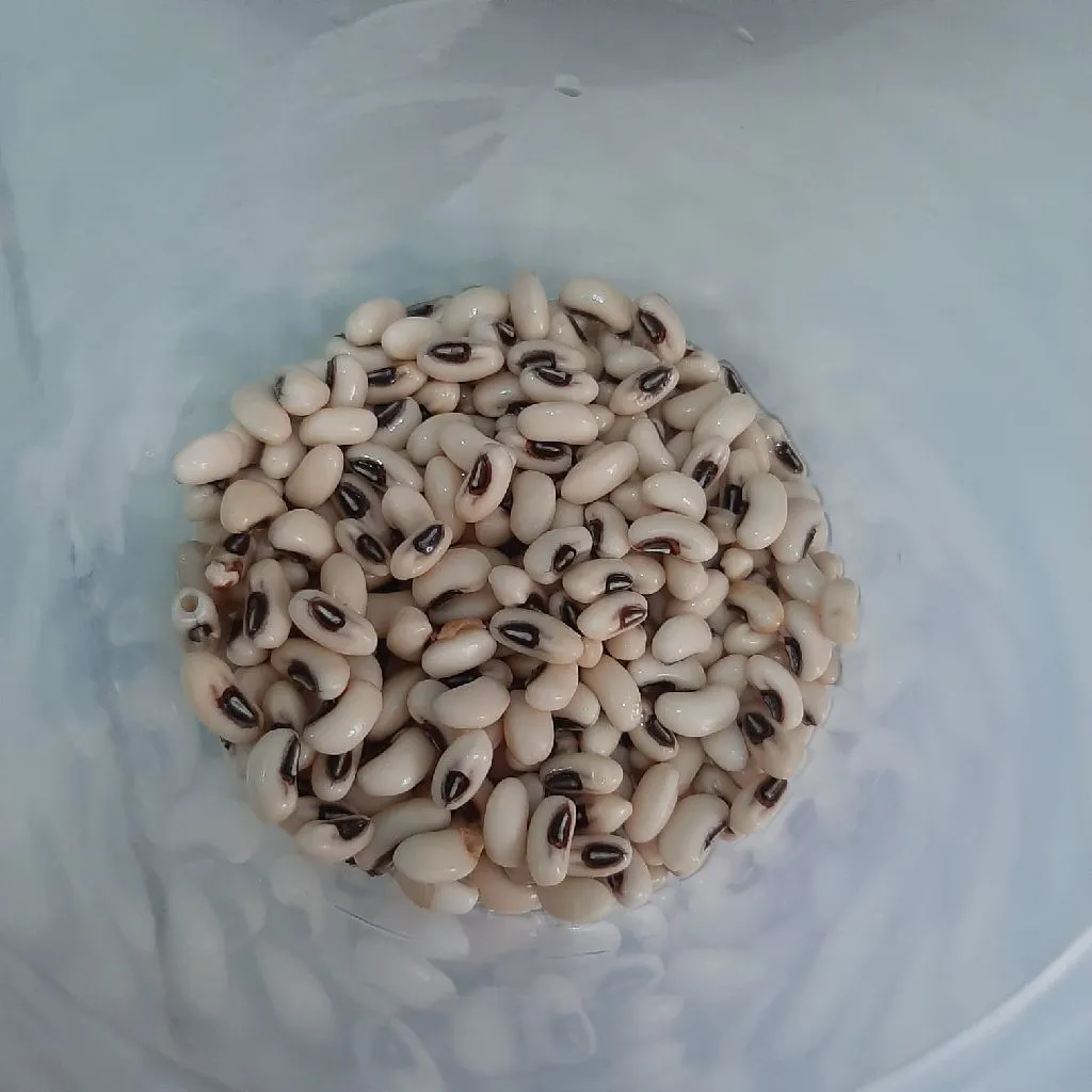 Step 1 Gimbal Kacang Tolo