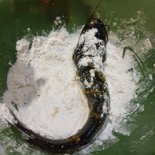 Balurkan lele ke tepung terigu serbaguna.