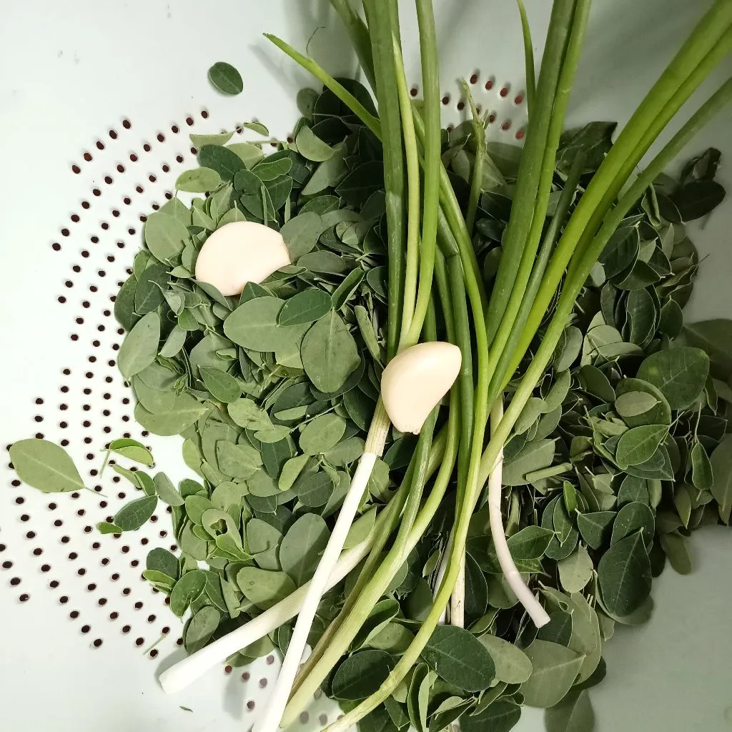Step 1 Sayur Kelor Kerang Kupas
