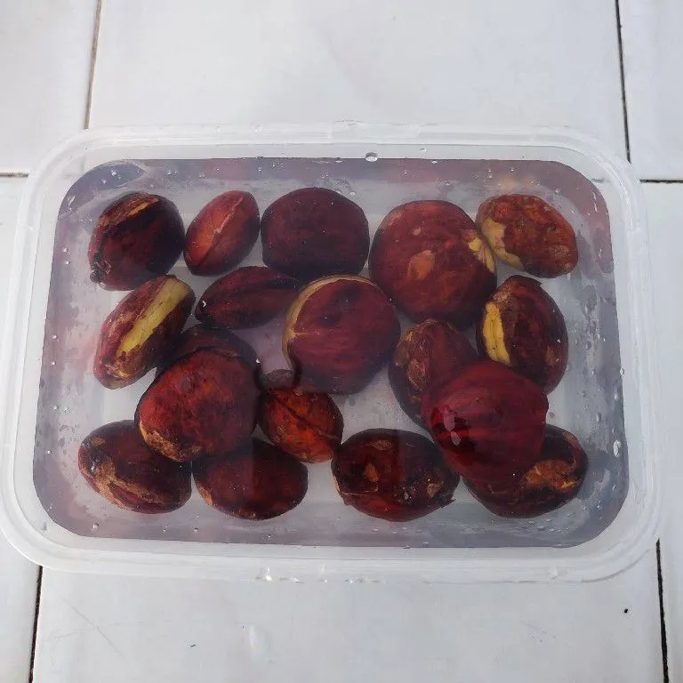 Step 1 Jengkol Saos Padang