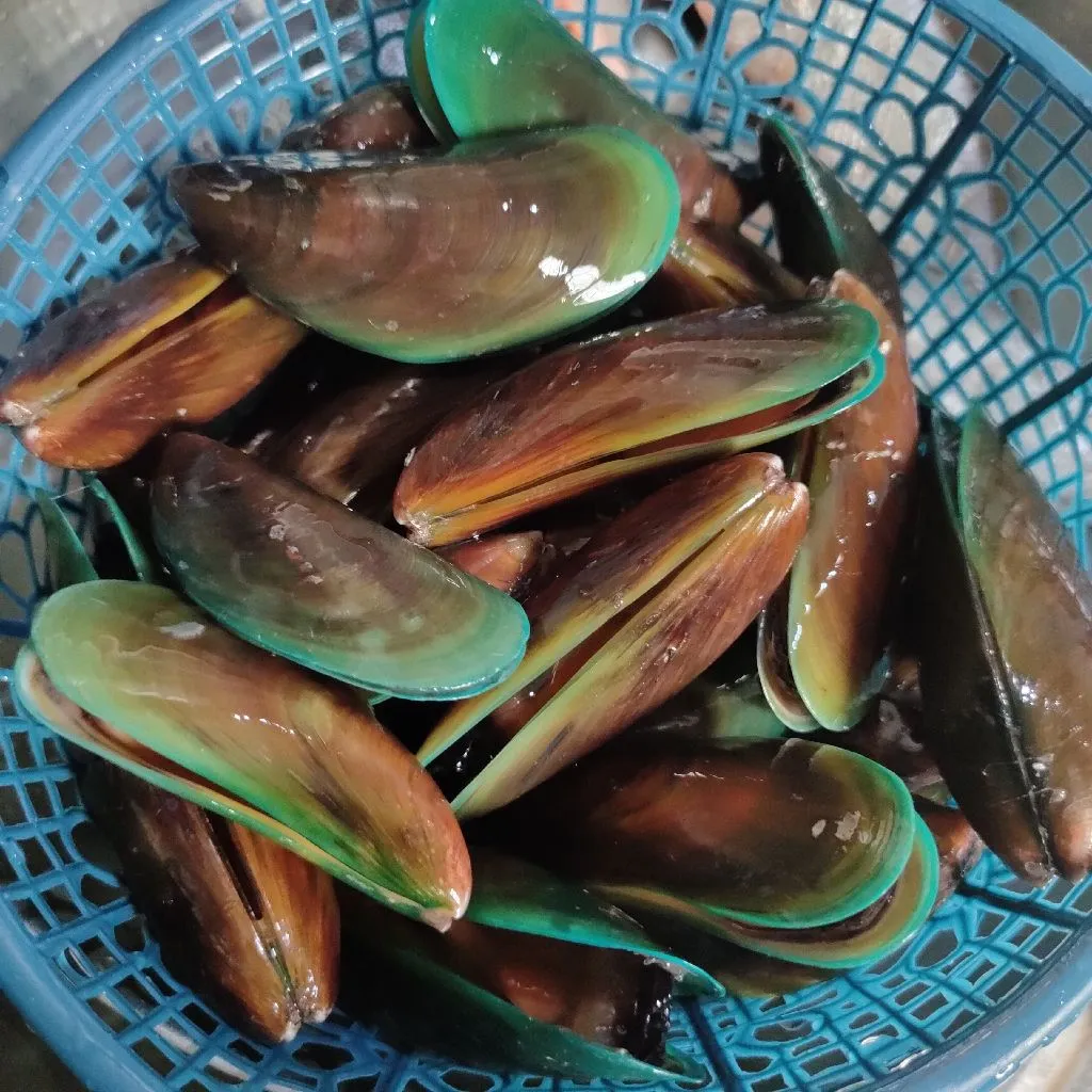 Step 1 Kerang Hijau Rebus