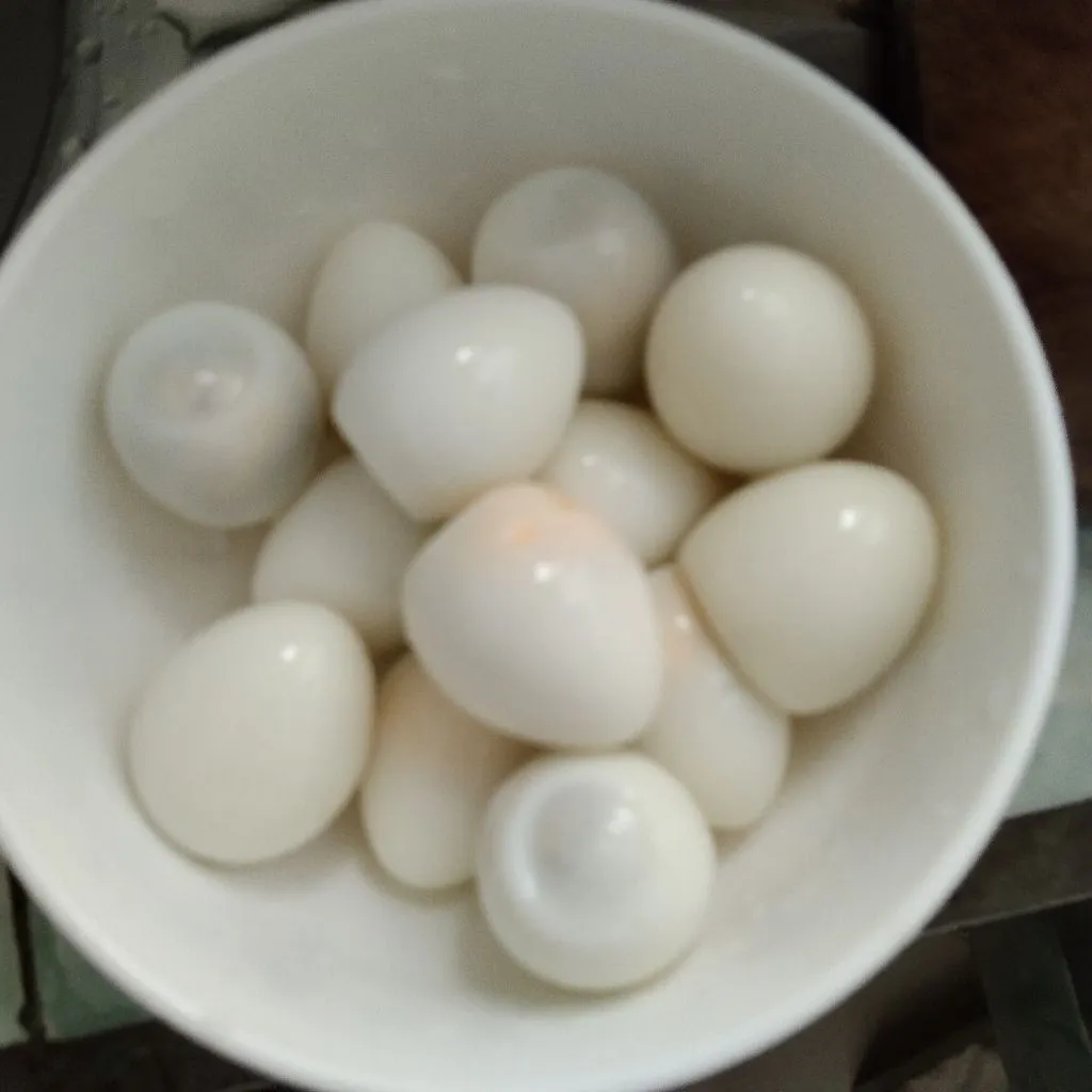 Step 1 Sate Telur