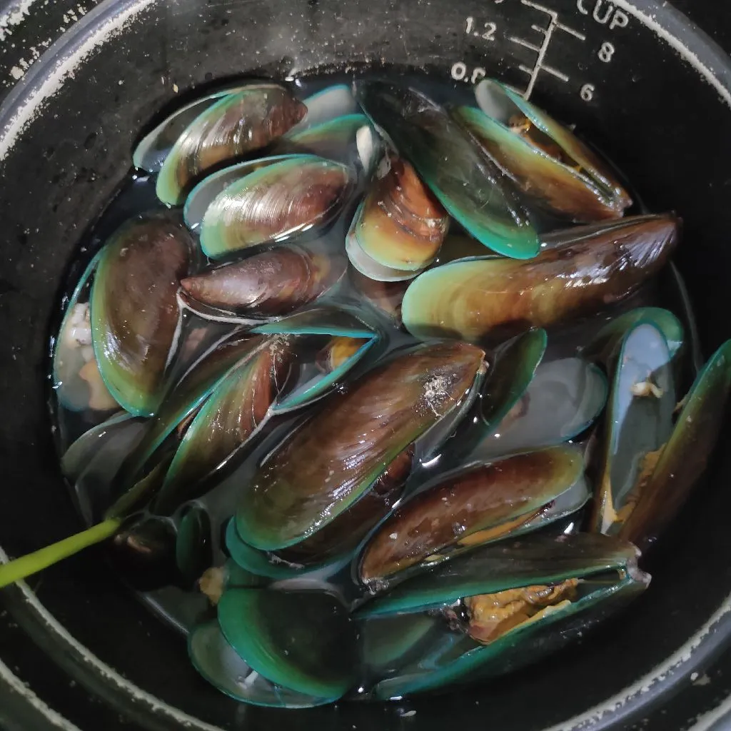 Step 5 Kerang Hijau Rebus