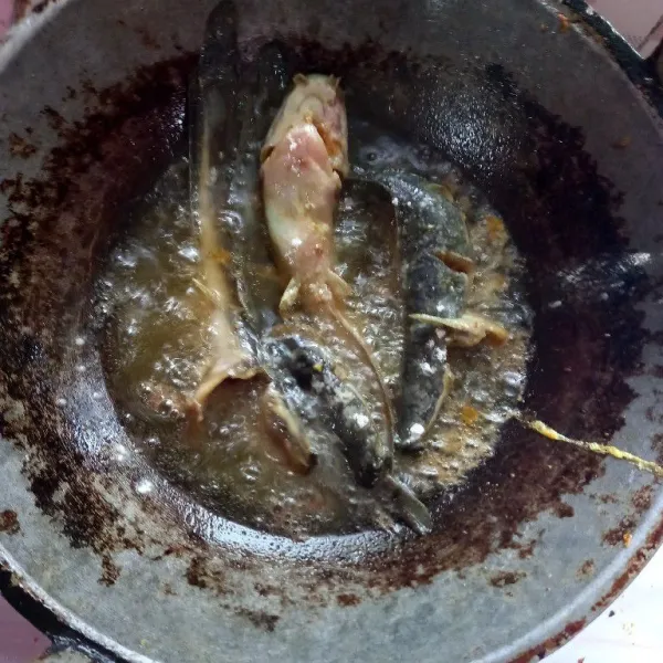 Goreng ikan lele hingga kering, (tips agar ikan lele tidak meledak saat digoreng, taburi sedikit tepung terigu).