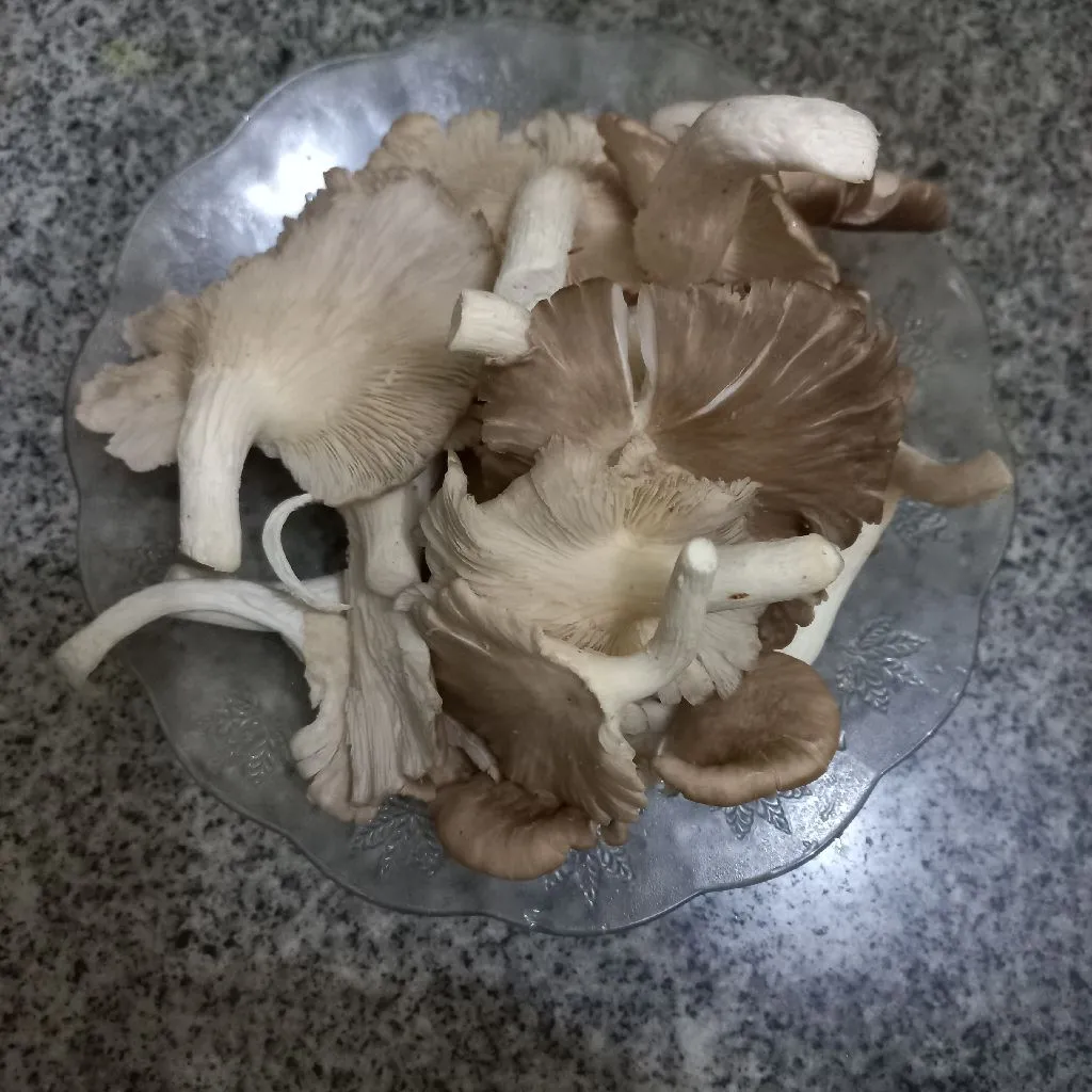Step 1 Jamur Pangsit Saus Tiram