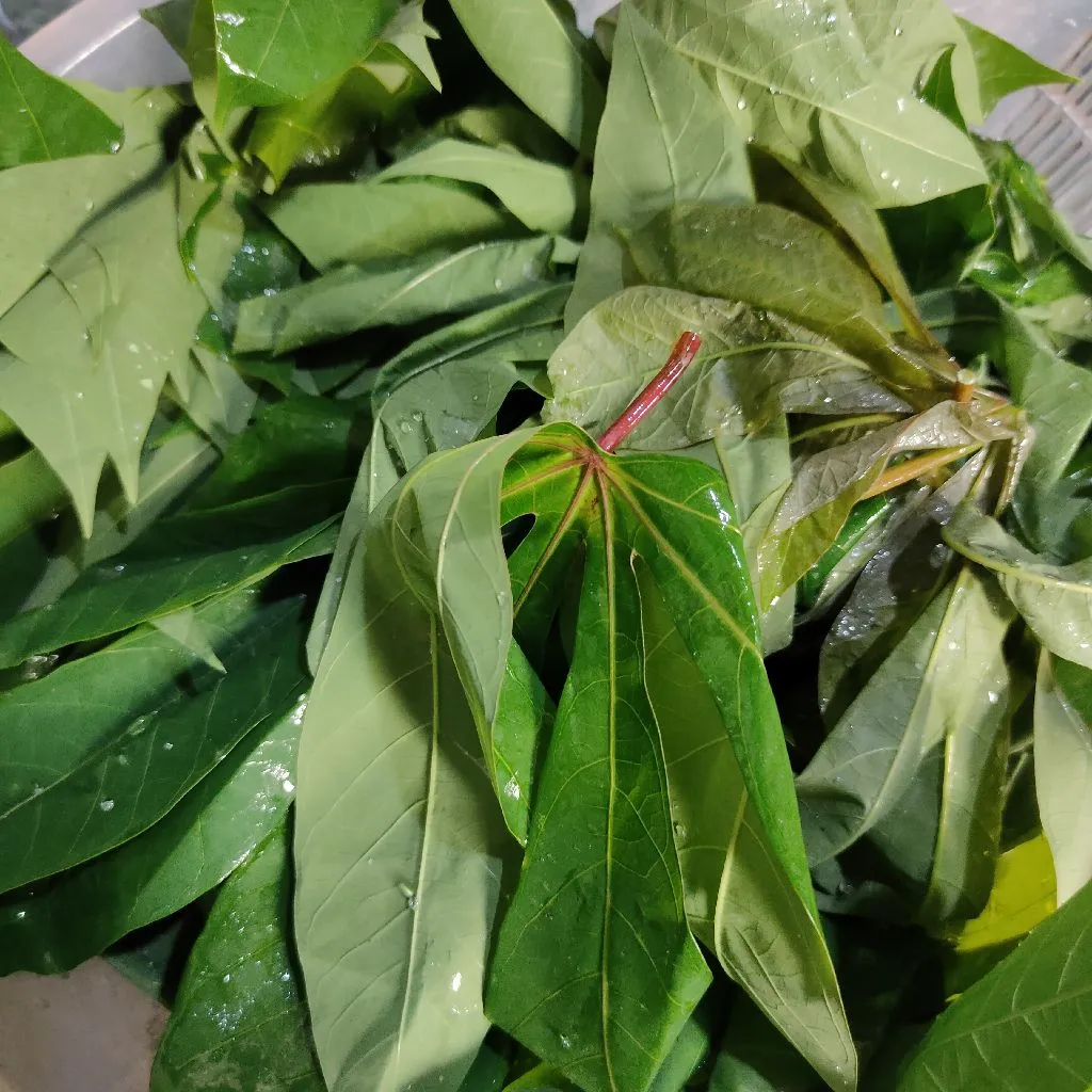 Step 1 Daun Singkong Sambal Terasi Mentah