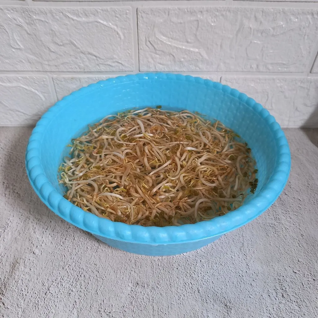 Step 1 Tumis Tauge Bumbu Bawang