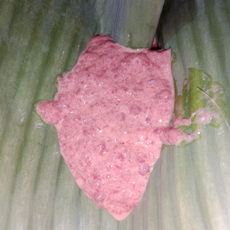 Langkah 4