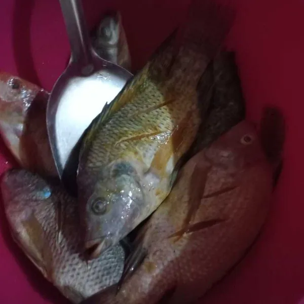 Bersihkan ikan, kemudian lumuri dengan bumbu-bumbu. Diamkan beberapa saat hingga menyerap.