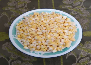Tips Memipil Jagung #TipsAndalan