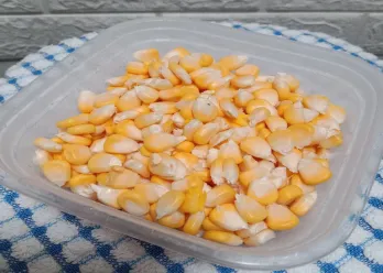 Tips Memipil Jagung #TipsAndalan