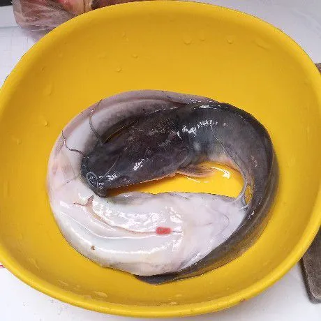 Siapkan ikan lele. Bersihkan dan kucuri dg air perasan jeruk nipis. Kemudian bilas sampai bersih.