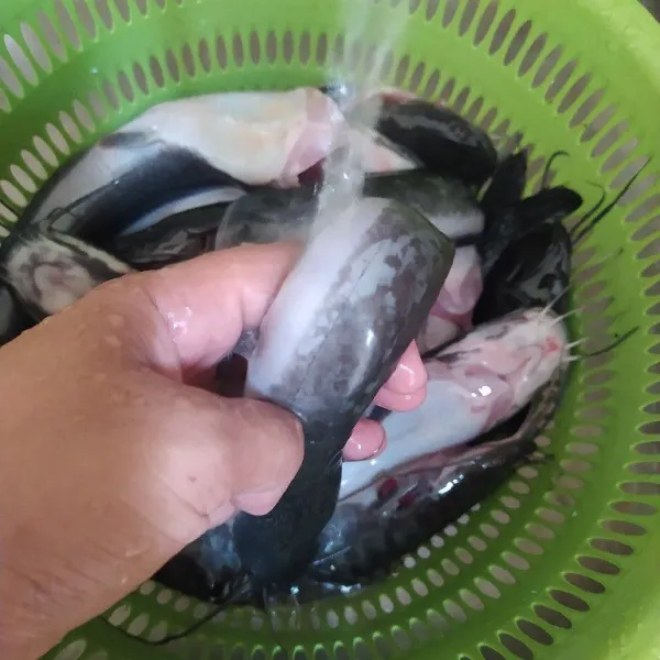 Cuci bersih ikan lele dengan air yang mengalir.