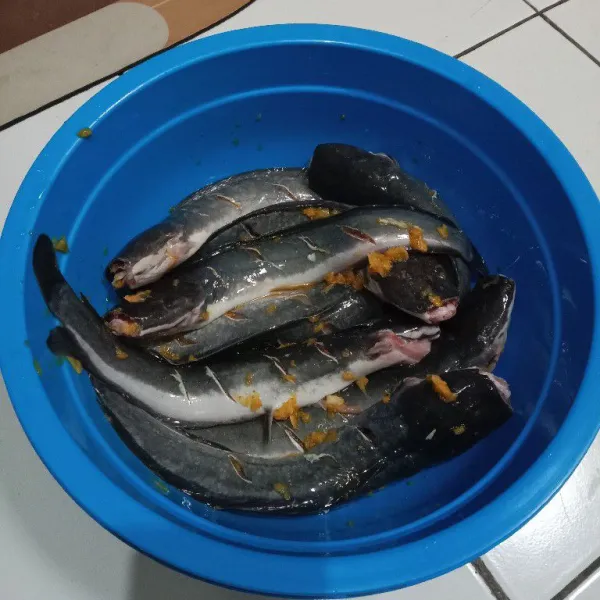 Kucuri ikan dengan jeruk nipis. Biarkan 5 menit, bilas lagi dengan air bersih. Kemudian balur semua ikan dengan bumbu kunyit. Biarkan 10 menit agar meresap.