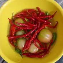 Siapkan semua bahan, cuci bersih cabe dan cung kediro.