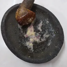 Ulek bahan bumbu halus.