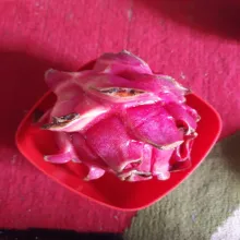 Siapkan buah naga. Belah dua lalu kerok daging buah naga.