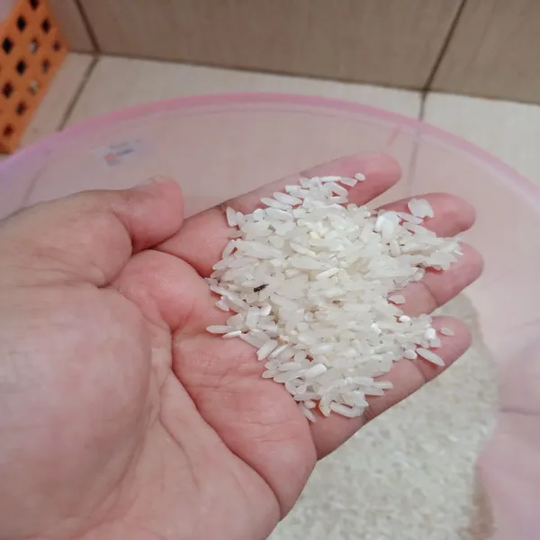 Ini adalah beras yang berkutu.