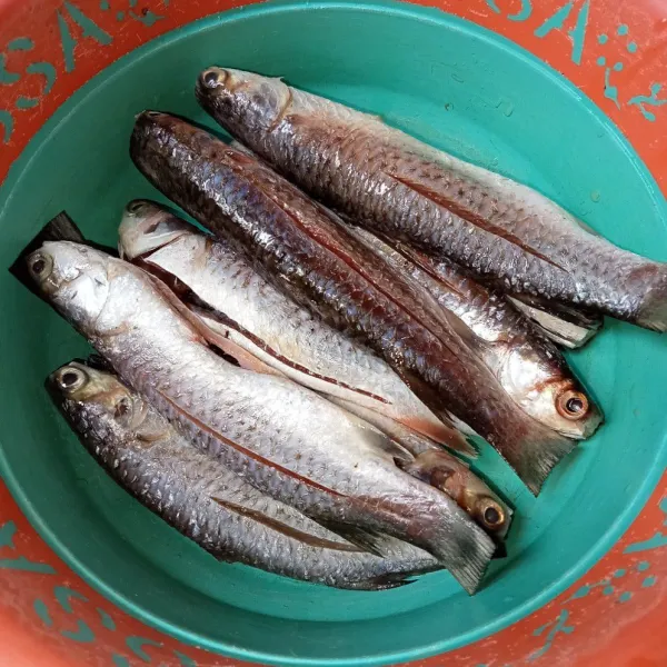 Bersihkan ikan dari sisik dan kotorannya.