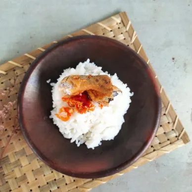 Sego Kucing Angkringan Solo
