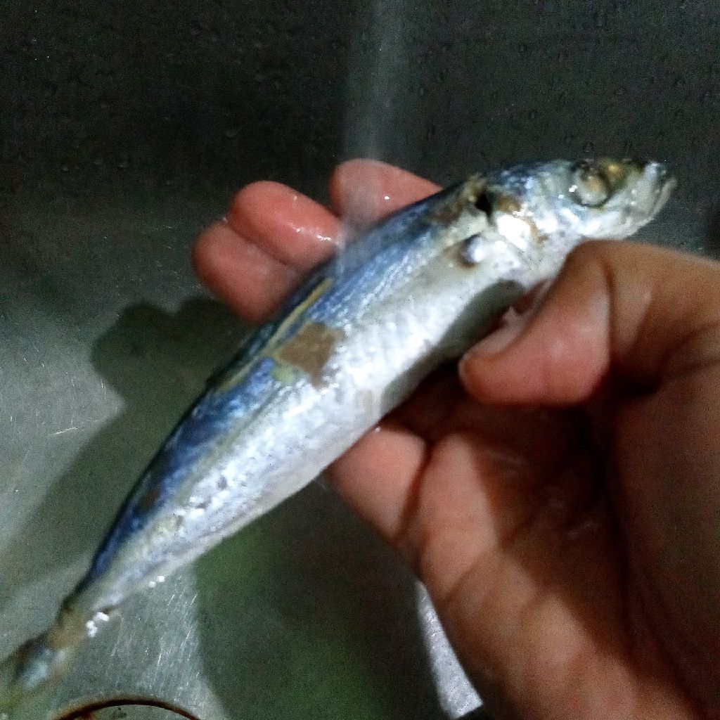 Langkah 3
