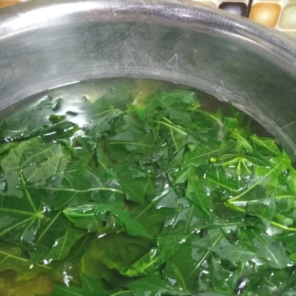 Rebus air, setelah mendidih masukkan daun pepaya Jepang, msak hingga daun melupakan, angkat dan tiriskan, bisa di rendam air dingin (optional).