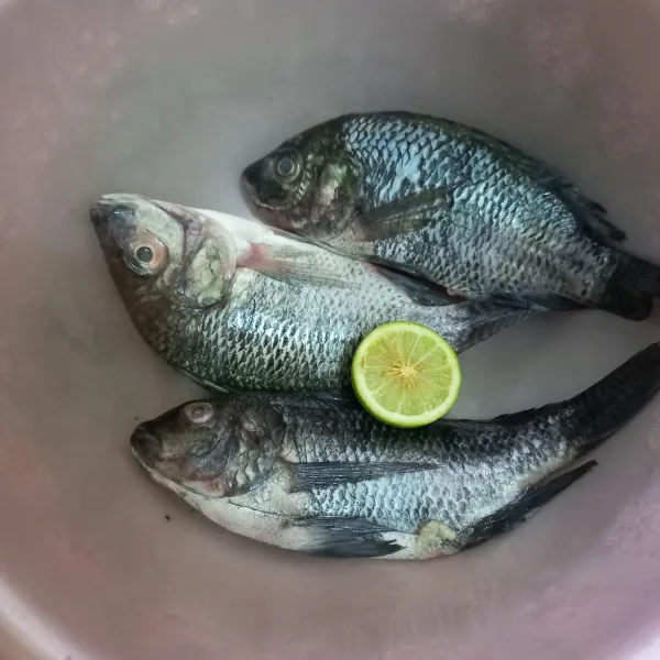 Cuci bersih ikan nila, kucuri dengan perasan jeruk lemon, bilas dan tiriskan.
