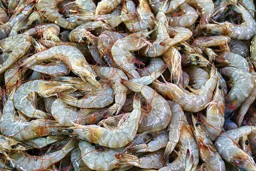 Membersihkan Udang dengan Tepat dalam 8 Langkah Mudah
