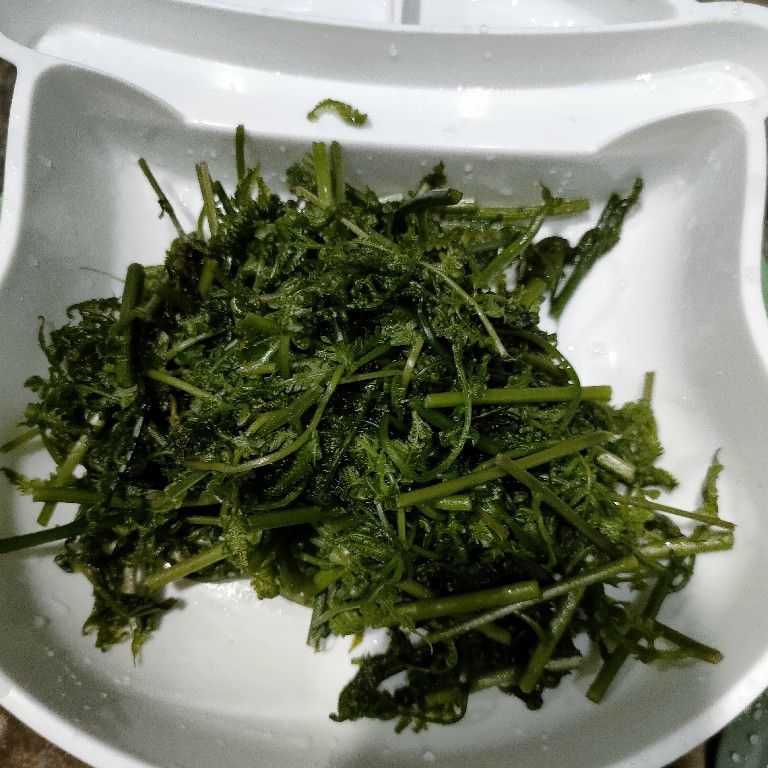 Langkah 1