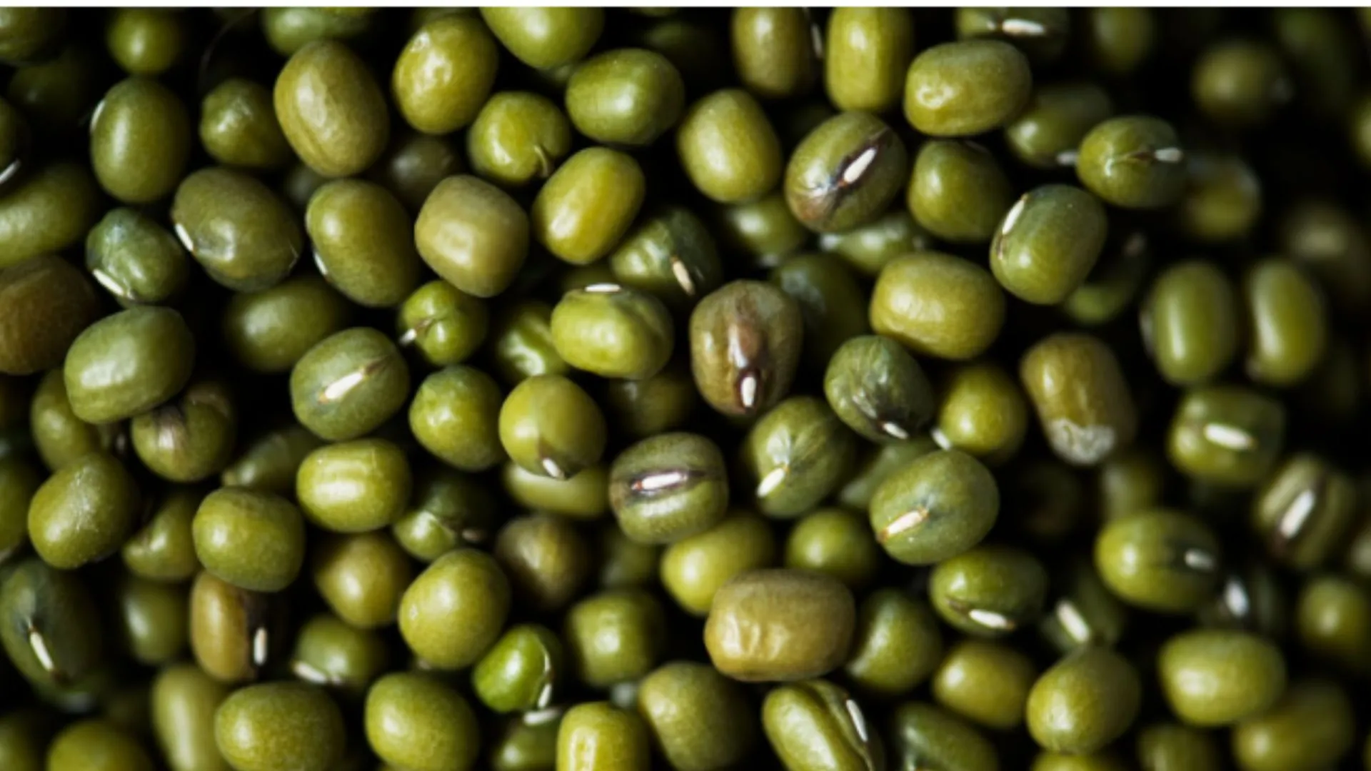 7 Cara Merebus Kacang Hijau Agar Cepat Empuk Dan Merekah