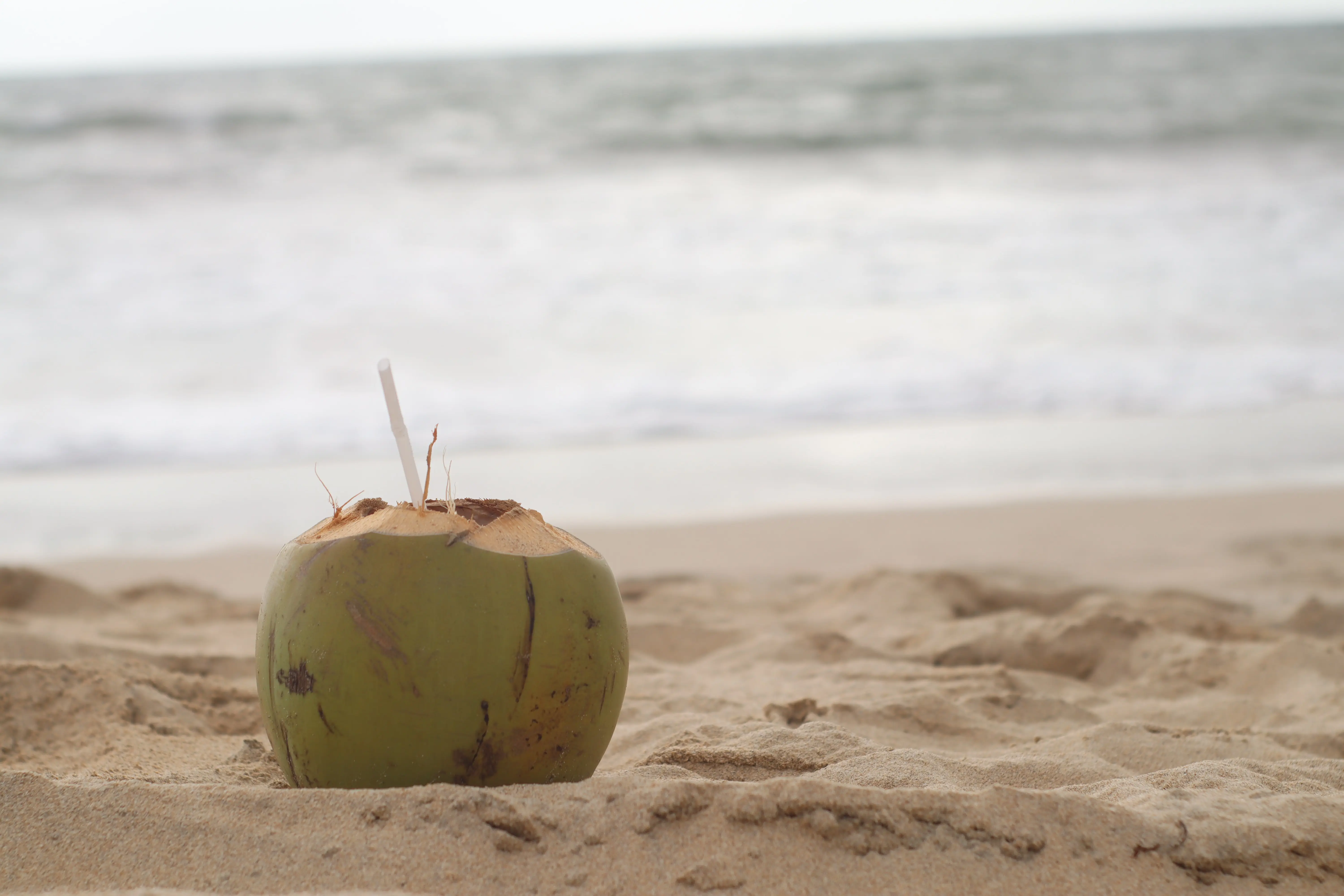 5. Air kelapa sebagai sumber elektrolit