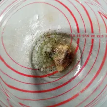 Dalam mangkok besar, masukkan bawang putih parut, lada, garam, parsley, oregano dan olive oil, aduk rata.