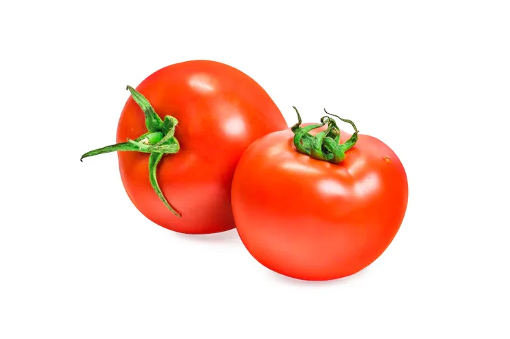 tomat merah