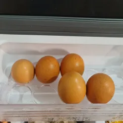 Tips Menyimpan Telur