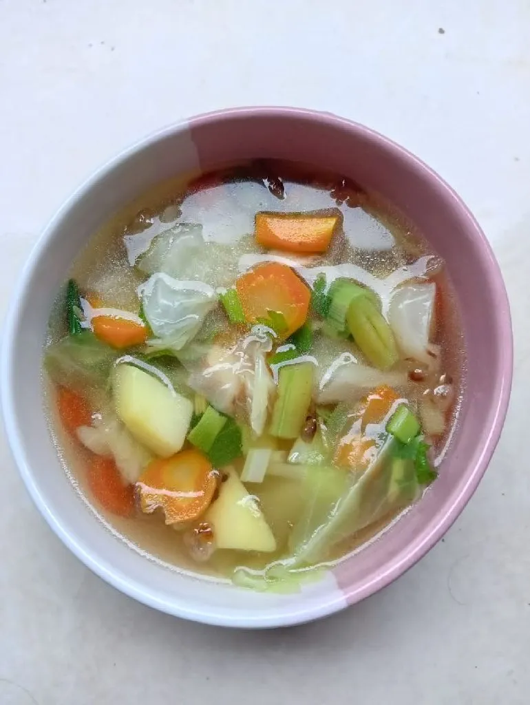 Sup sayuran