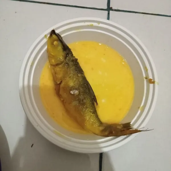 Baluri ikan dengan telur.