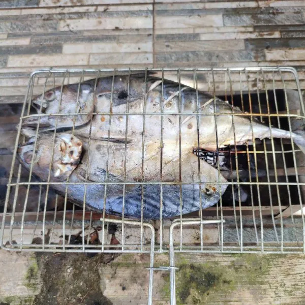 Tata ikan di atas panggangan. Kemudian panggang sebentar ikan di atas bara api untuk menghilangkan kadar airnya.