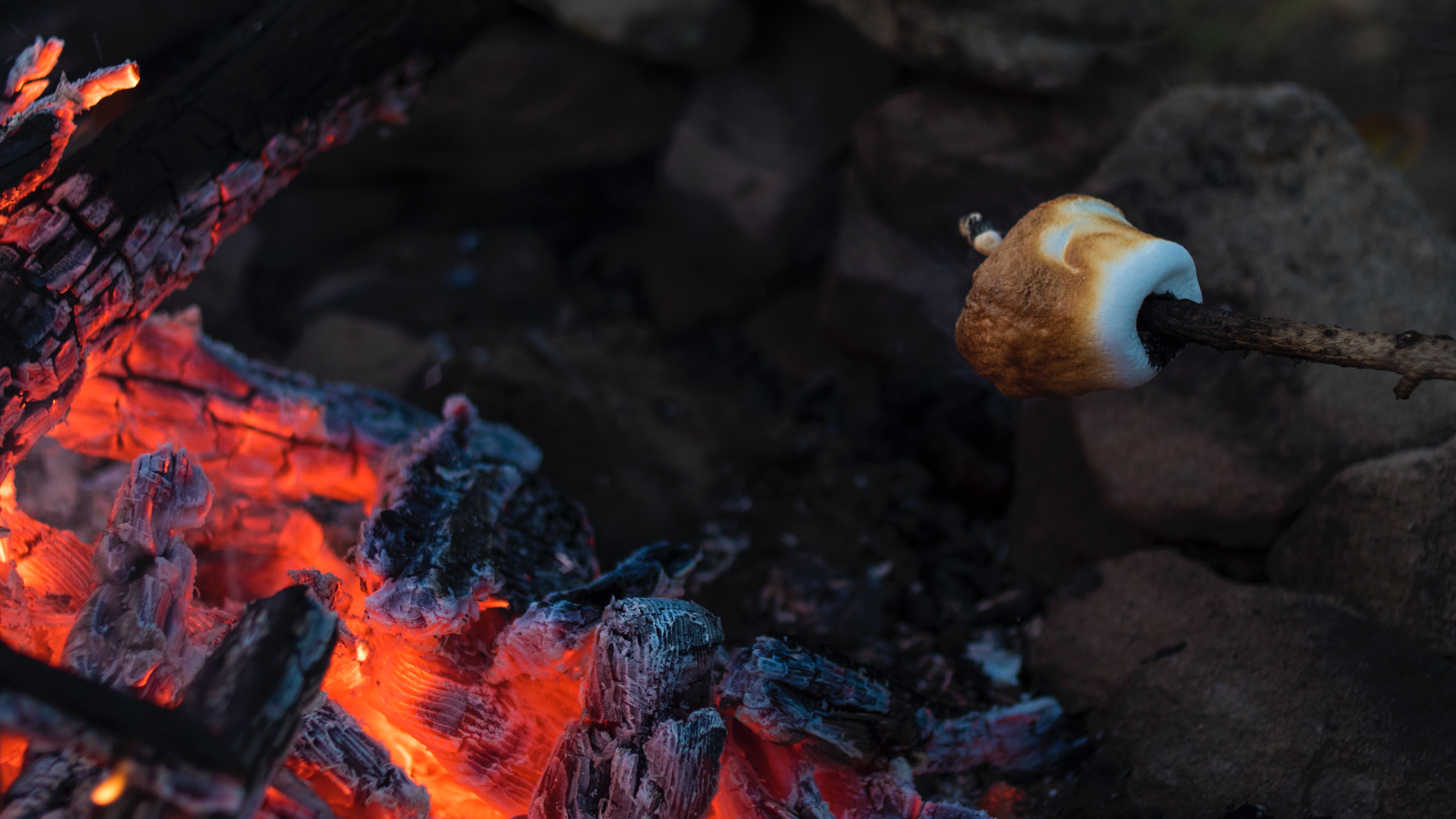 Marshmallow yang sedang dibakar di atas api