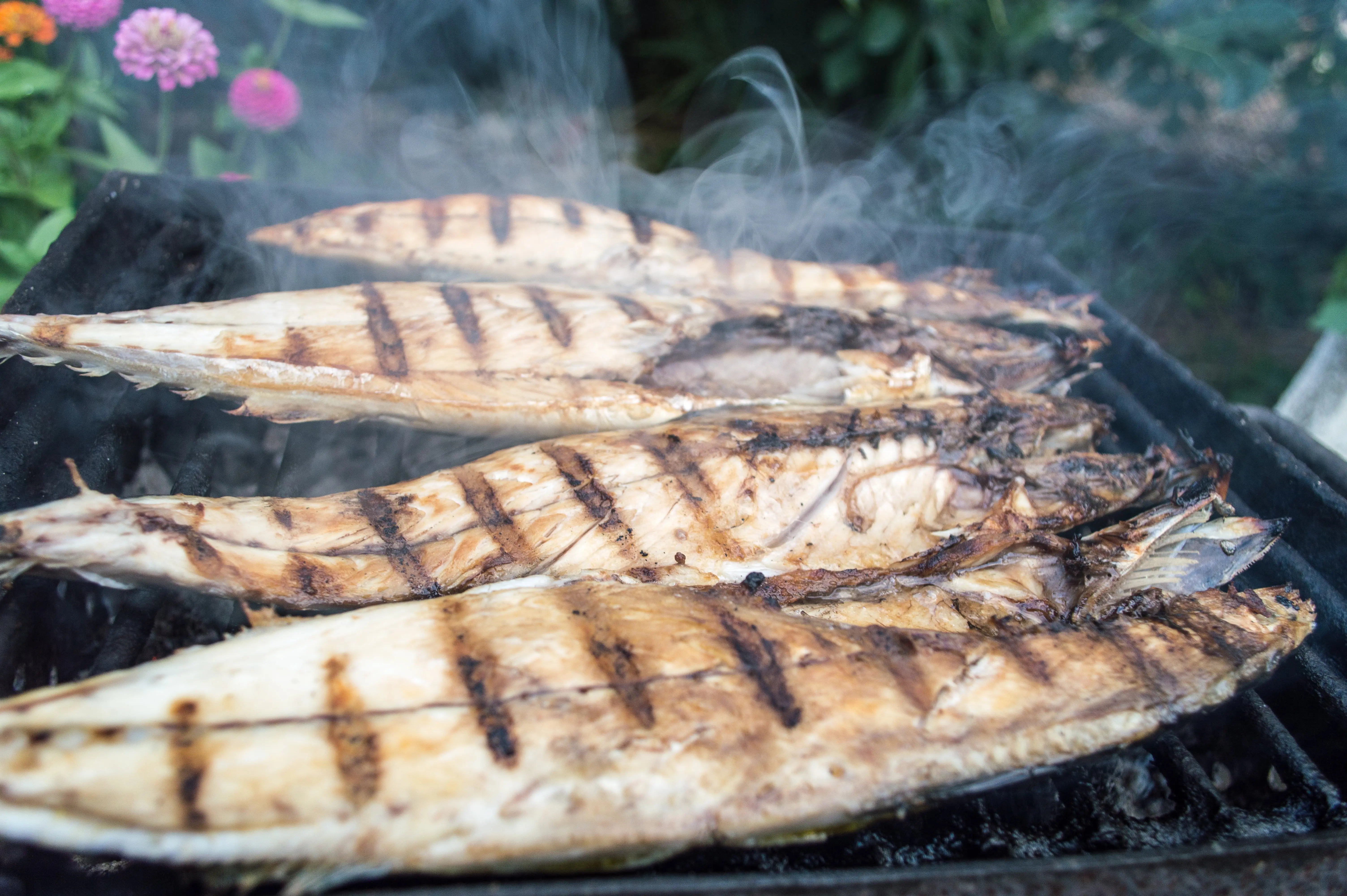 ikan yang baru selesai dibakar di atas pembakaran