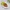Ganjang Chicken Garlic Sauce
