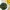 Sayur Bening Selada Air